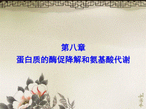 第8章蛋白质代谢.ppt