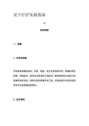 安宁疗护实践指南.docx