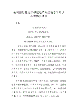公司基层党支部书记赴革命圣地学习培训心得体会3篇.docx