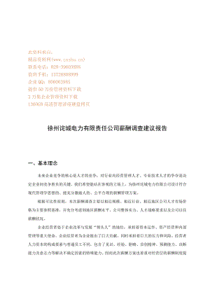 徐州某公司薪酬调查建议报告.docx