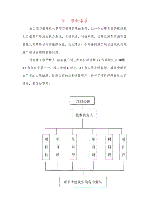 项目组织体系.docx