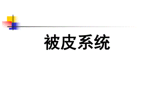 第9章皮肤.ppt