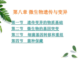 第8章遗传与变异.ppt