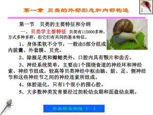 第一章贝类的外部形态和内部形态构造.ppt