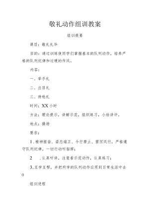 敬礼动作组训教案.docx