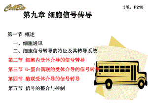 第9章信号传导.ppt