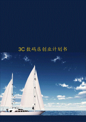 3C数码店创业计划书范文.docx
