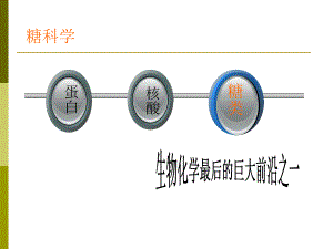 第8章生化药物制造工艺糖类药物.ppt