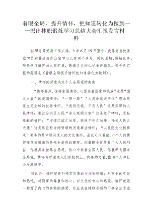 着眼全局提升情怀把知道转化为做到——派出挂职锻炼学习总结大会汇报发言材料.docx