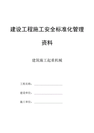 建设工程施工升降机资料.docx