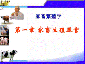 第一章家畜生殖器官.ppt