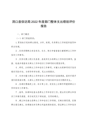 洞口县信访局2022年度部门整体支出绩效评价报告.docx
