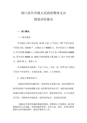洞口县竹市镇人民政府整体支出绩效评价报告.docx