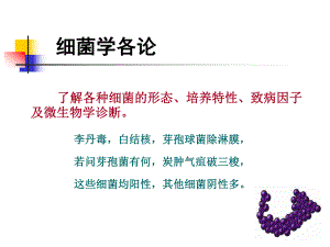 第8章革兰氏阳性球菌.ppt