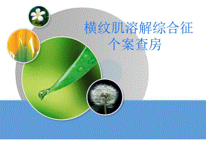 横纹肌溶解综合征个案查房.ppt