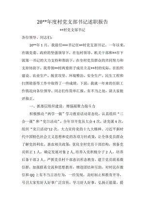 村党支部书记述职报告.docx