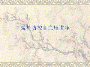 社区卫生服务站减盐防控高血压知识培训.ppt
