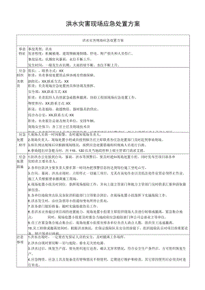 洪水灾害现场应急处置方案.docx