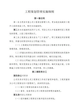 工程策划管理实施细则.docx