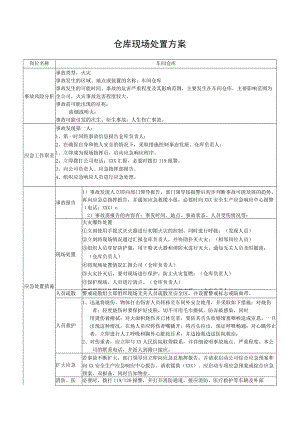 仓库现场处置方案.docx