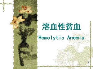 溶血性贫血2.ppt