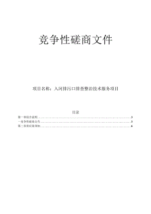 入河排污口排查整治技术服务项目招标文件.docx