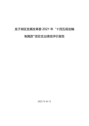 龙子湖区发展改革委2021年“十四五规划编制尾款”项目支出绩效评价报告.docx