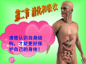消化和吸收ppt人教版.ppt