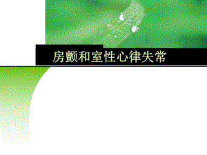心律失常2.ppt