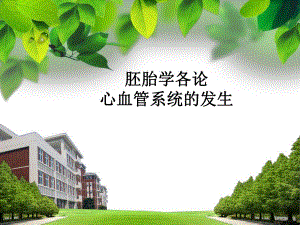 心血管系统发生.ppt