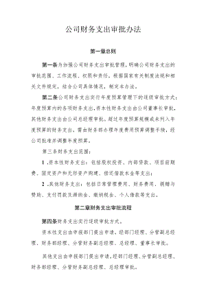 公司财务支出审批办法.docx