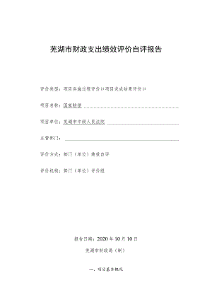 芜湖市财政支出绩效评价自评报告.docx