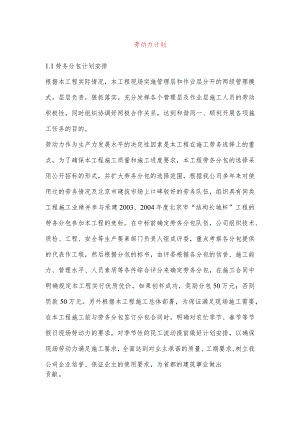 劳动力计划.docx