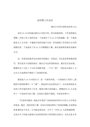 试用期工作总结.docx