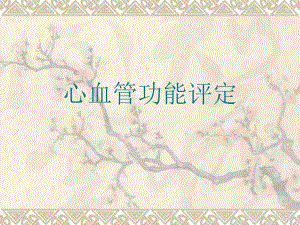 心血管功能评定.ppt