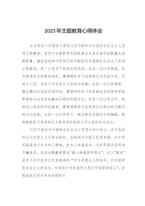 村书记关于2023年主题教育心得感悟七篇.docx