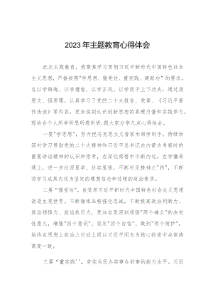 农村关于开展学习贯彻2023年第二批主题教育的心得体会七篇.docx
