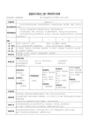 实验幼儿园大一班一周活动计划表.docx