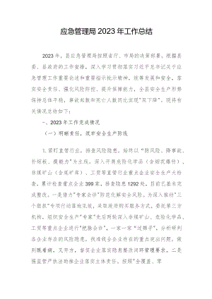 应急管理局2023年工作总结.docx