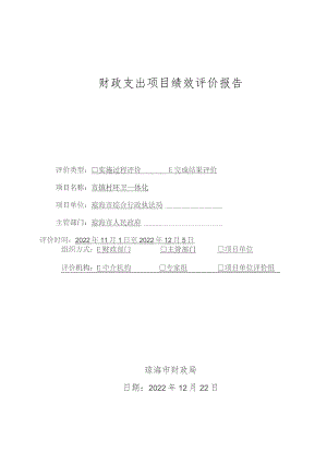 财政支出项目绩效评价报告.docx
