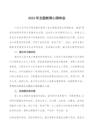 村党组织书记2023年主题教育心得体会十篇.docx
