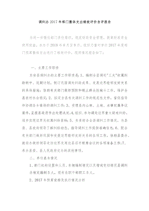 调纠办2017年部门整体支出绩效评价自评报告.docx