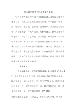 公立学校开展《第二批主题教育》工作汇报 （3份）.docx