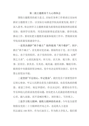 大学教师学习《第二批主题教育》个人心得体会 合计6份.docx