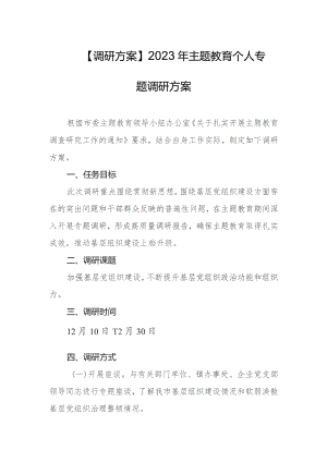 【调研方案】2023年主题教育个人专题调研方案.docx