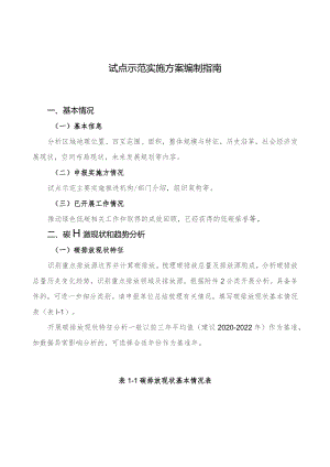 试点示范实施方案编制指南.docx