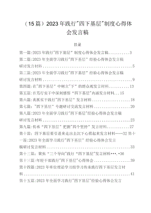 （15篇）2023年践行“四下基层”制度心得体会发言稿.docx