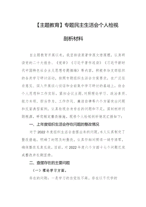 【主题教育】专题民主生活会个人检视剖析材料.docx