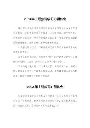 村干部学习贯彻2023年主题教育学习心得体会七篇.docx