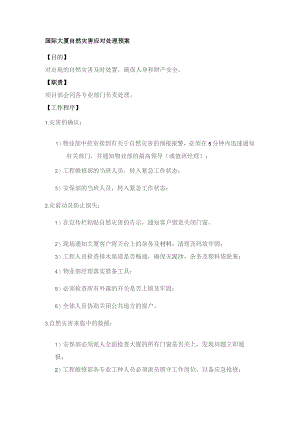 国际大厦自然灾害应对处理预案.docx